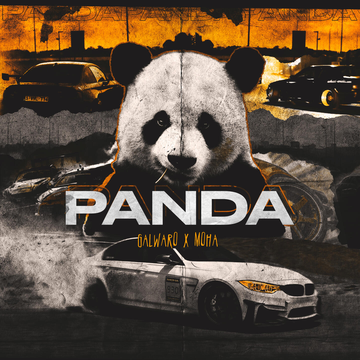 panda